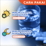 Anshin Vita Hepawell 30 Kapsul